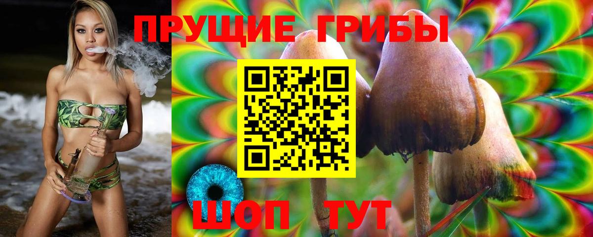 Скопин  Псилоцибиновые грибы ЛСД  Вход с VPN  Галлюциногенные грибы Psilocybe 